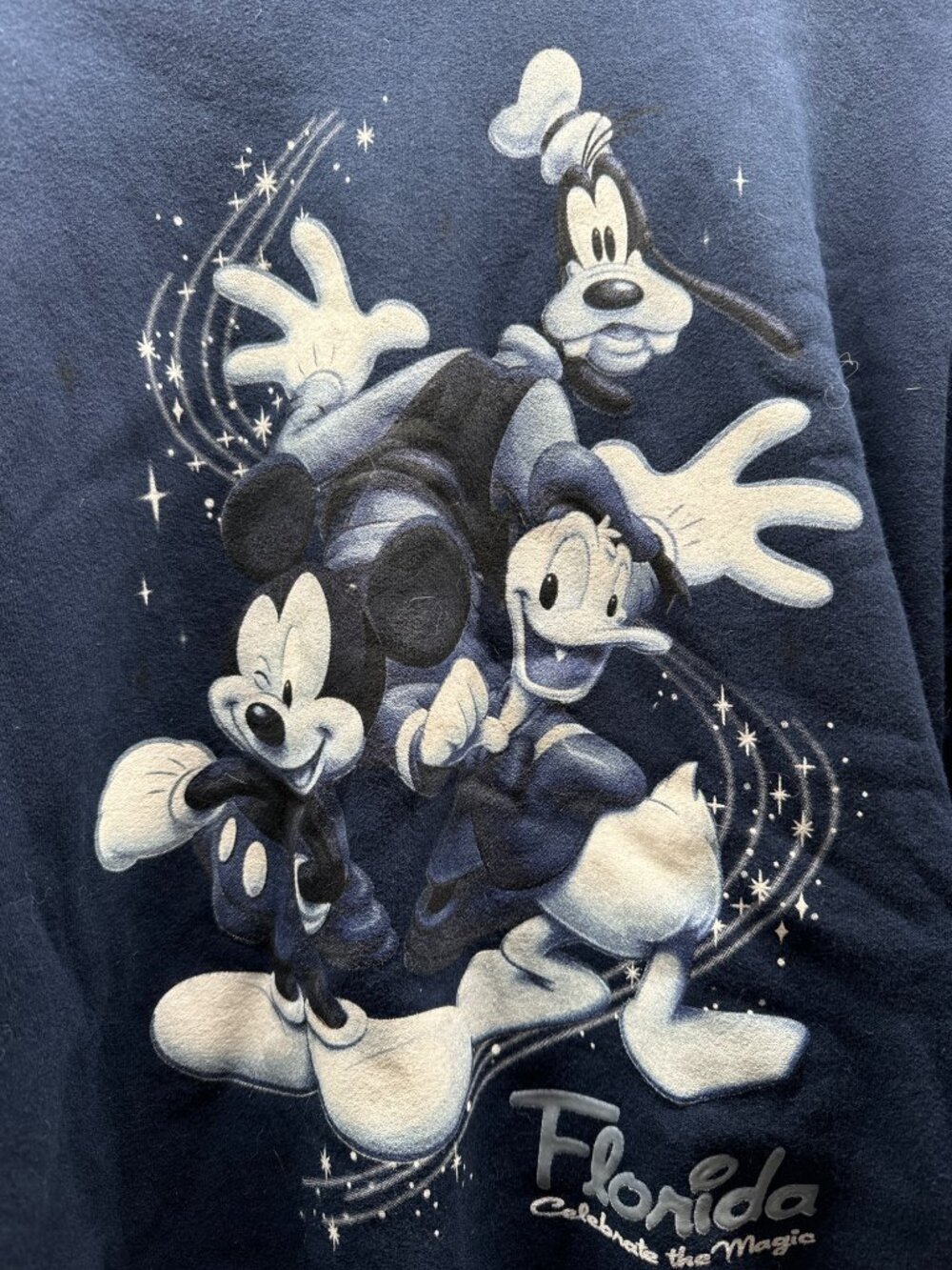 Disney Florida "Celebrate The Magic" Navy Sweatshirt Mickey Donald & Goofy Graph